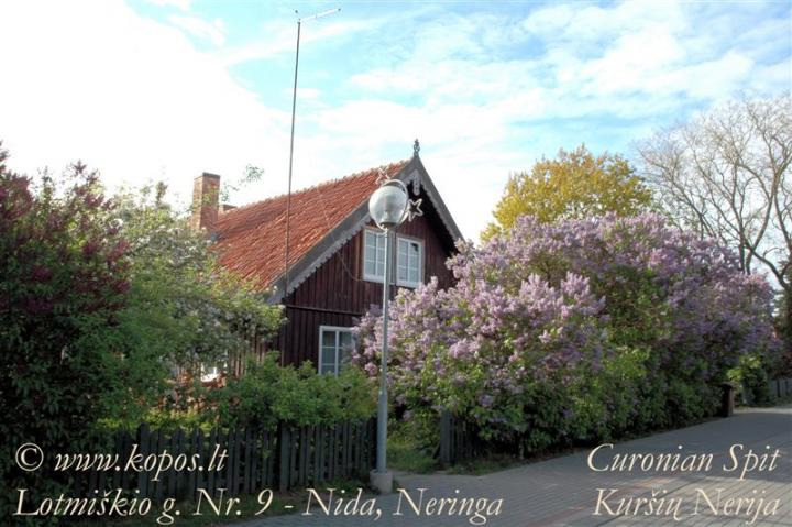 Namas stovi Lotmiškio g. Nidos senamiestyje.