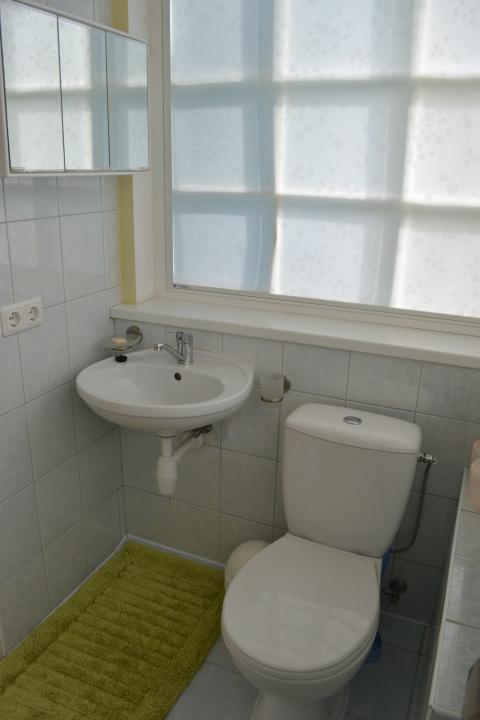 Miniliukso WC