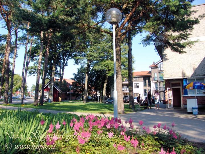 Neringos PSPC pastate.Nidos centre.Masažo paslaugos.